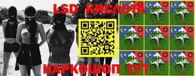 молекула духа Кулебаки