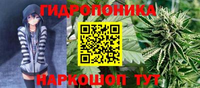 молекула духа Кулебаки