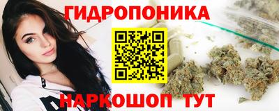 молекула духа Кулебаки