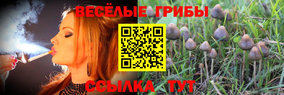 ГАШ  Железноводск  Купить  Cocaine  МЕФ кристаллы  Бошки Шишки  Вход с VPN 