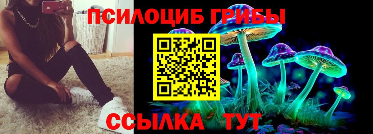 Галлюциногенные грибы мухоморы  Псилоцибиновые грибы Magic Shrooms  Вход с VPN  Железноводск 